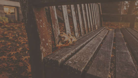 , 5 ways to reduce fall allergies, Outback GutterVac